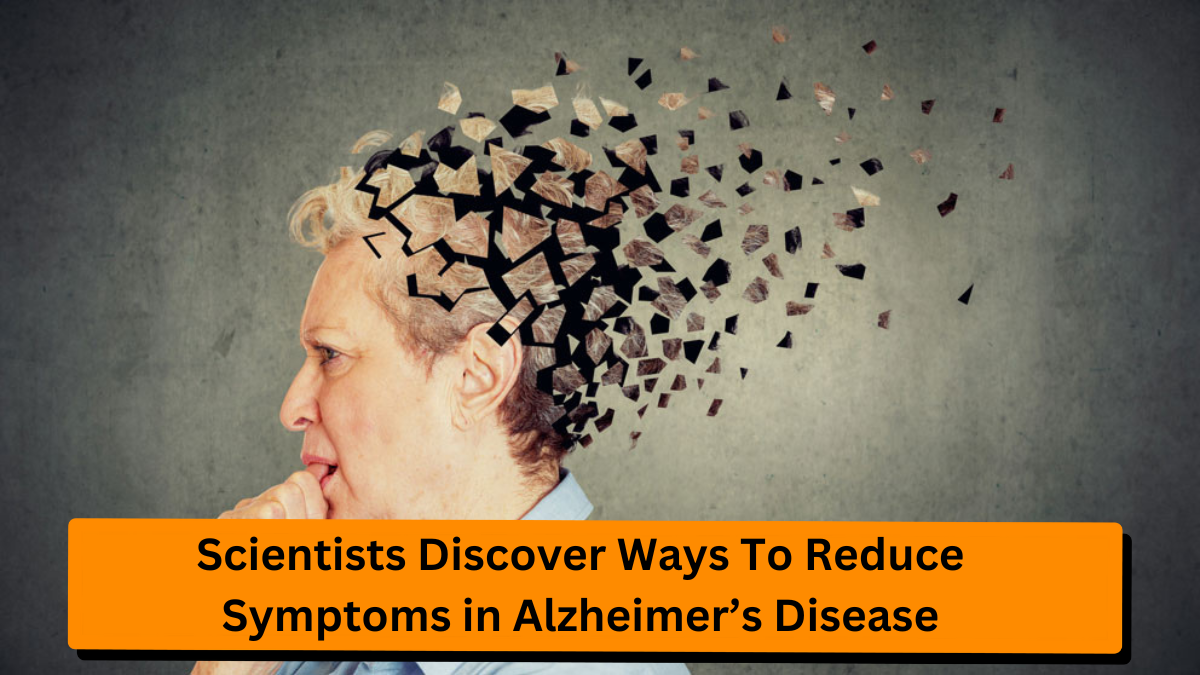 Scientists Discover Ways To Reduce Symptoms in Alzheimer’s Disease